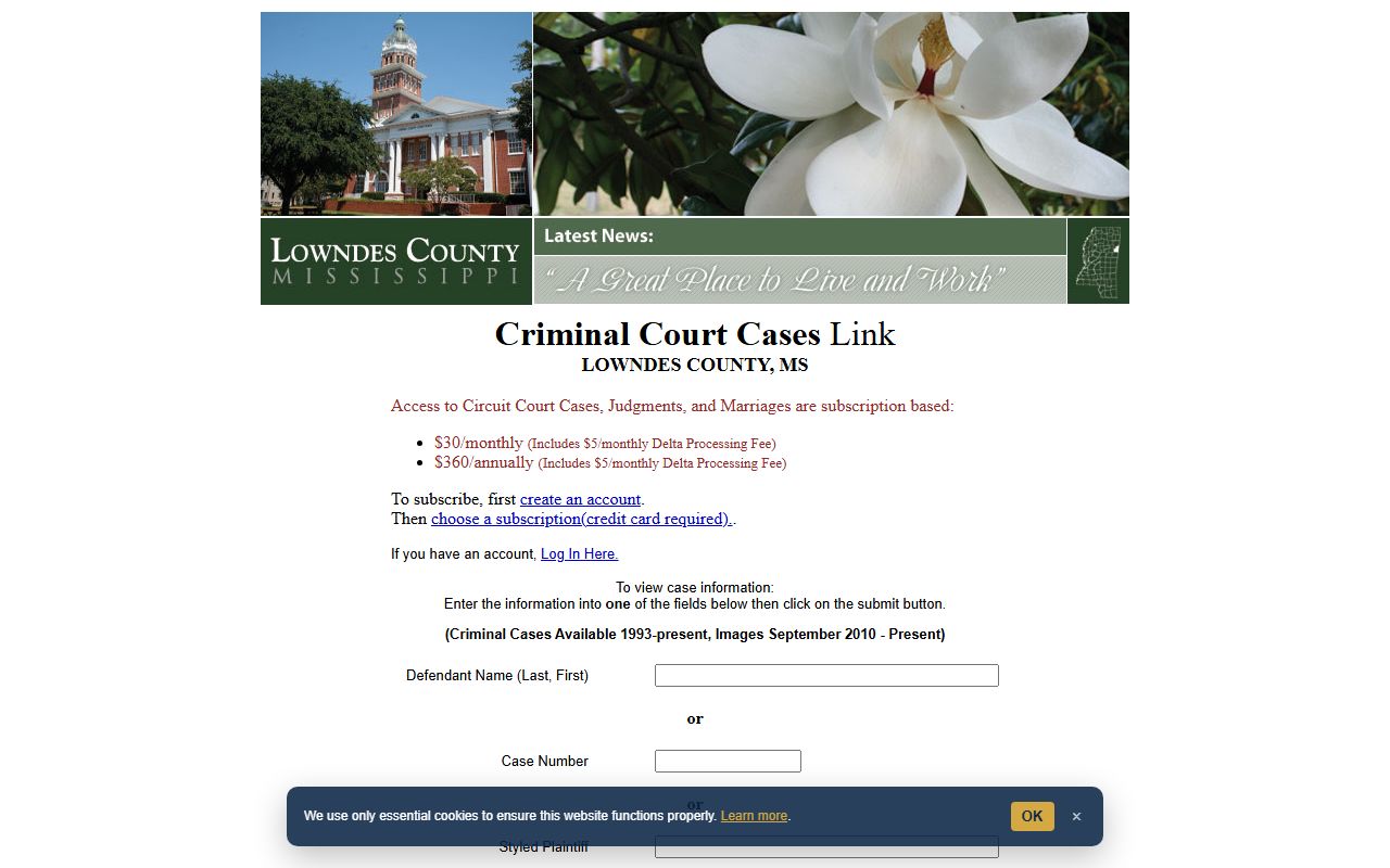 Lowndes County court records after jail arrest Delta criminal case search